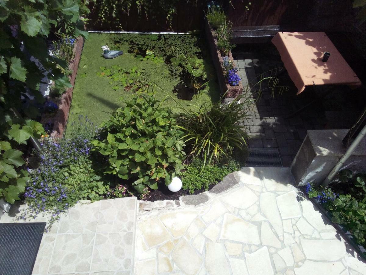 Haus Selina Villa Briedel Exterior foto
